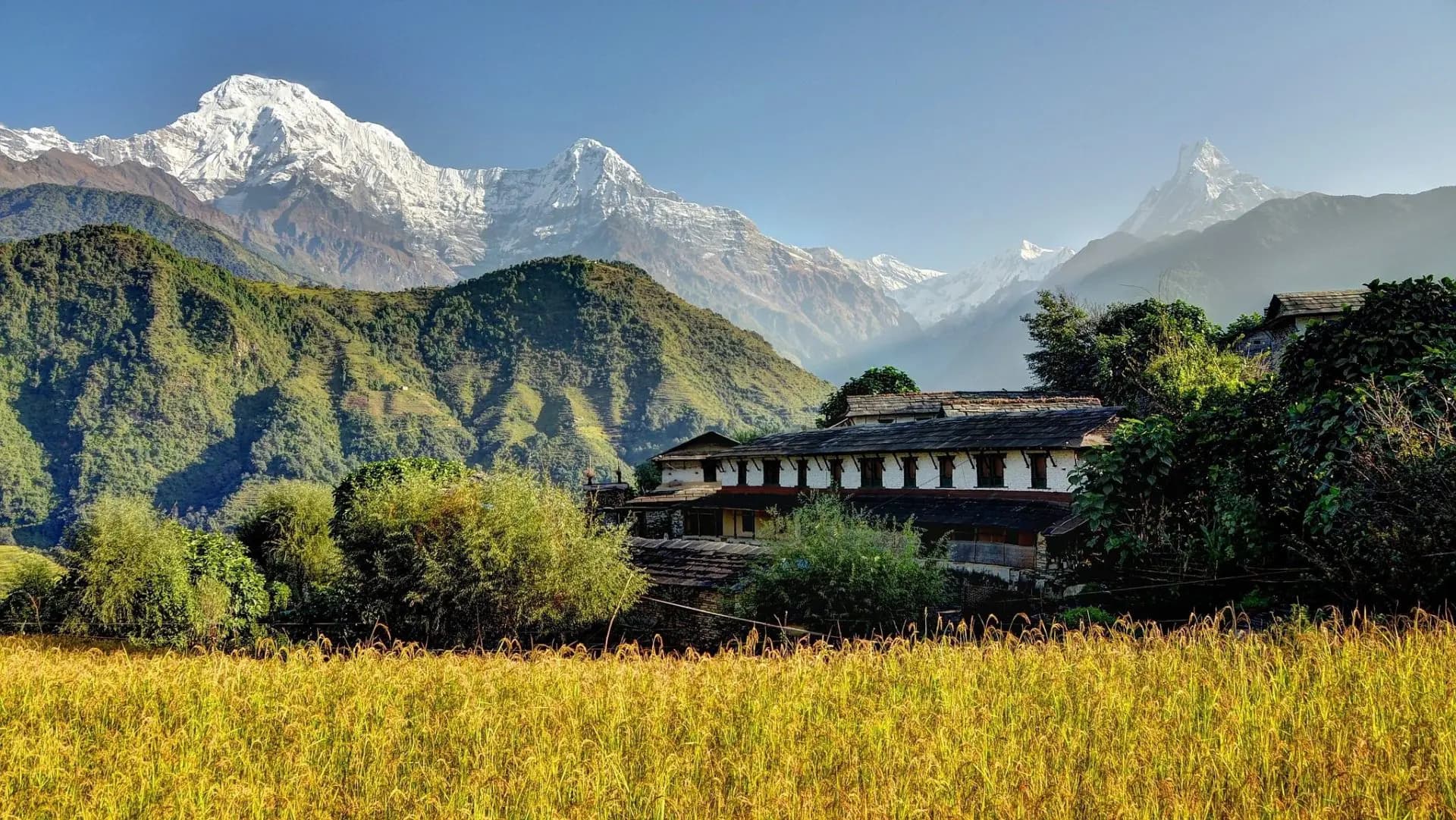 Discover Homestay Nepal