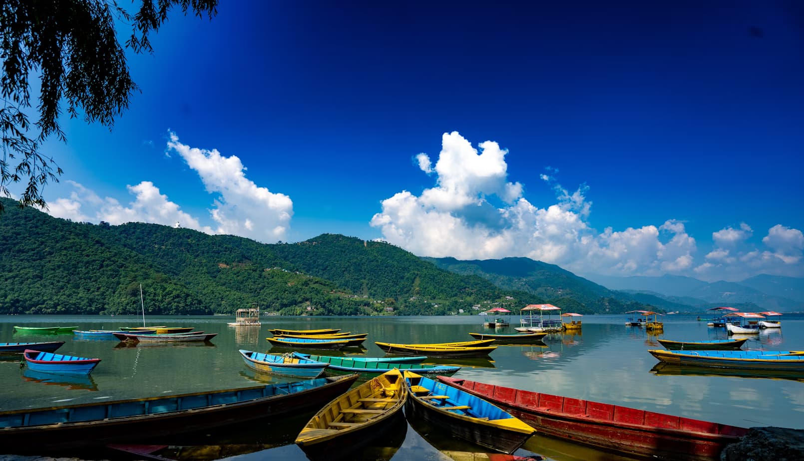 Premium homestay with modern amenities