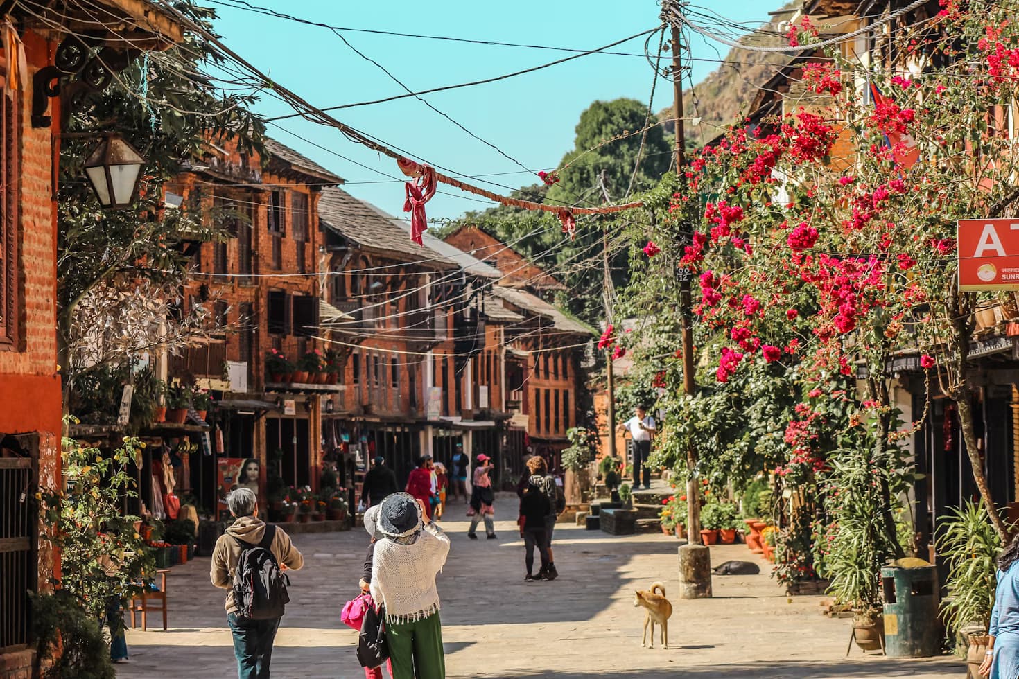 Bandipur destination