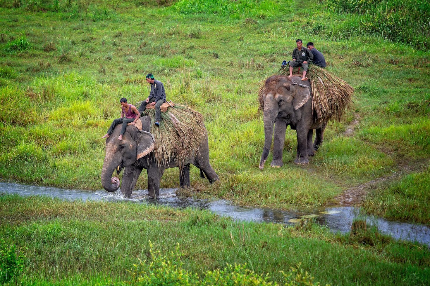 Chitwan destination