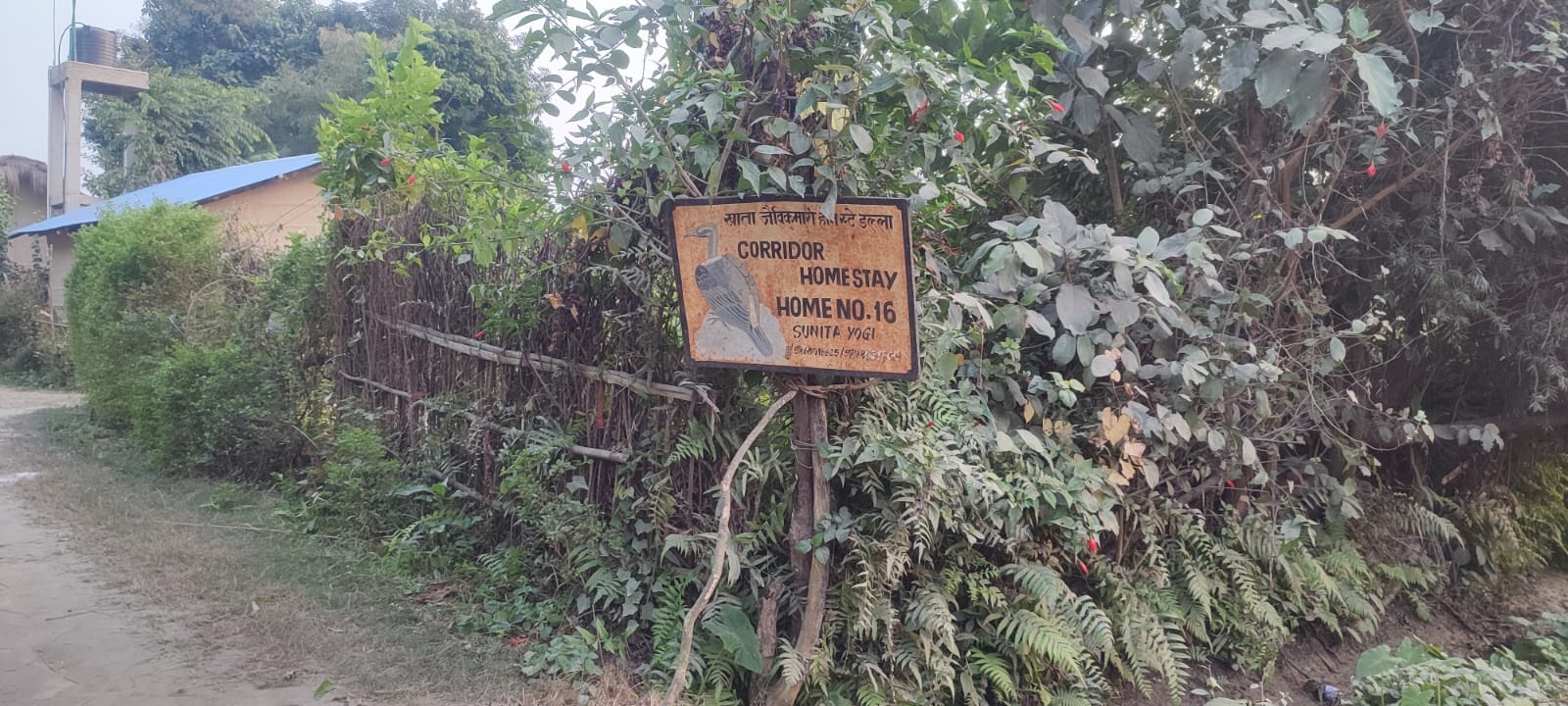 Corridor Homestays image