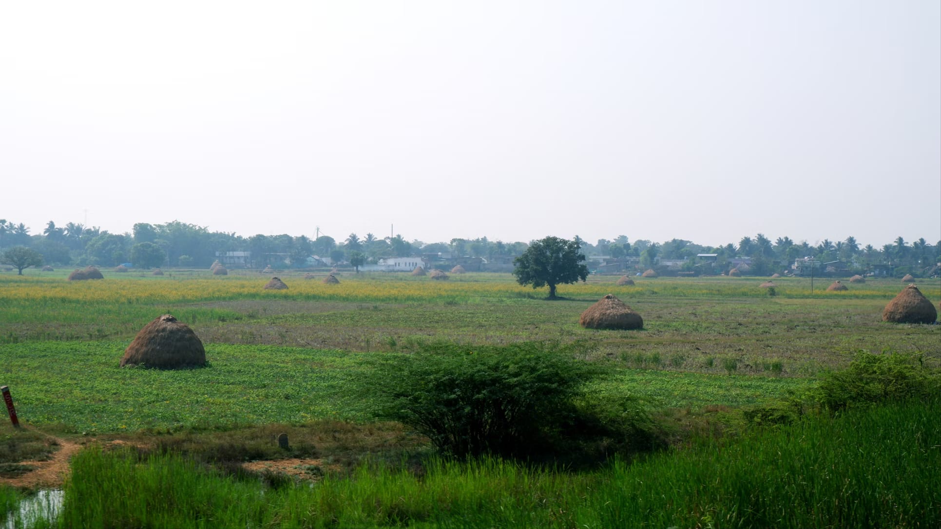 Bhairava destination