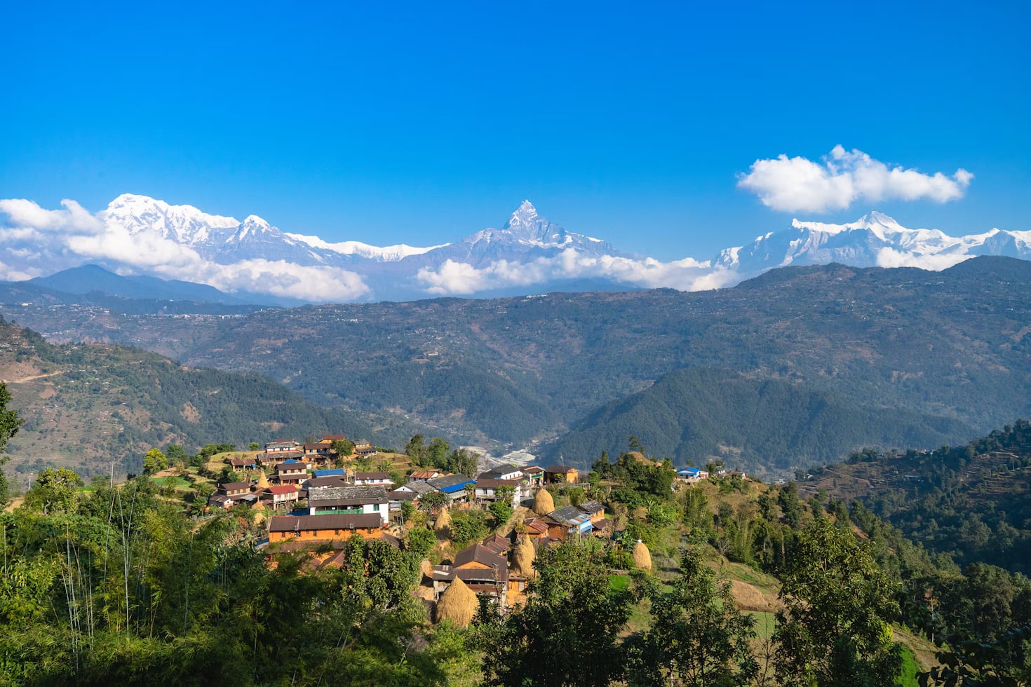Cultural homestay experience with local family